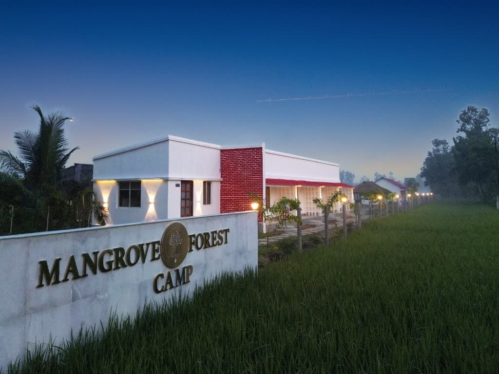 Mangrove Forest Camp entrance sign at dusk with the gold mangrove tree emblem