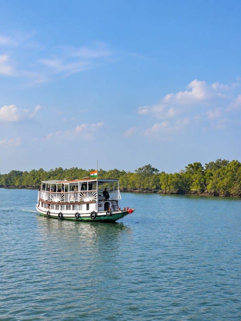 Mangrove Forest Camp safari boat cruising a Sundarban mangrove creek under blue sky