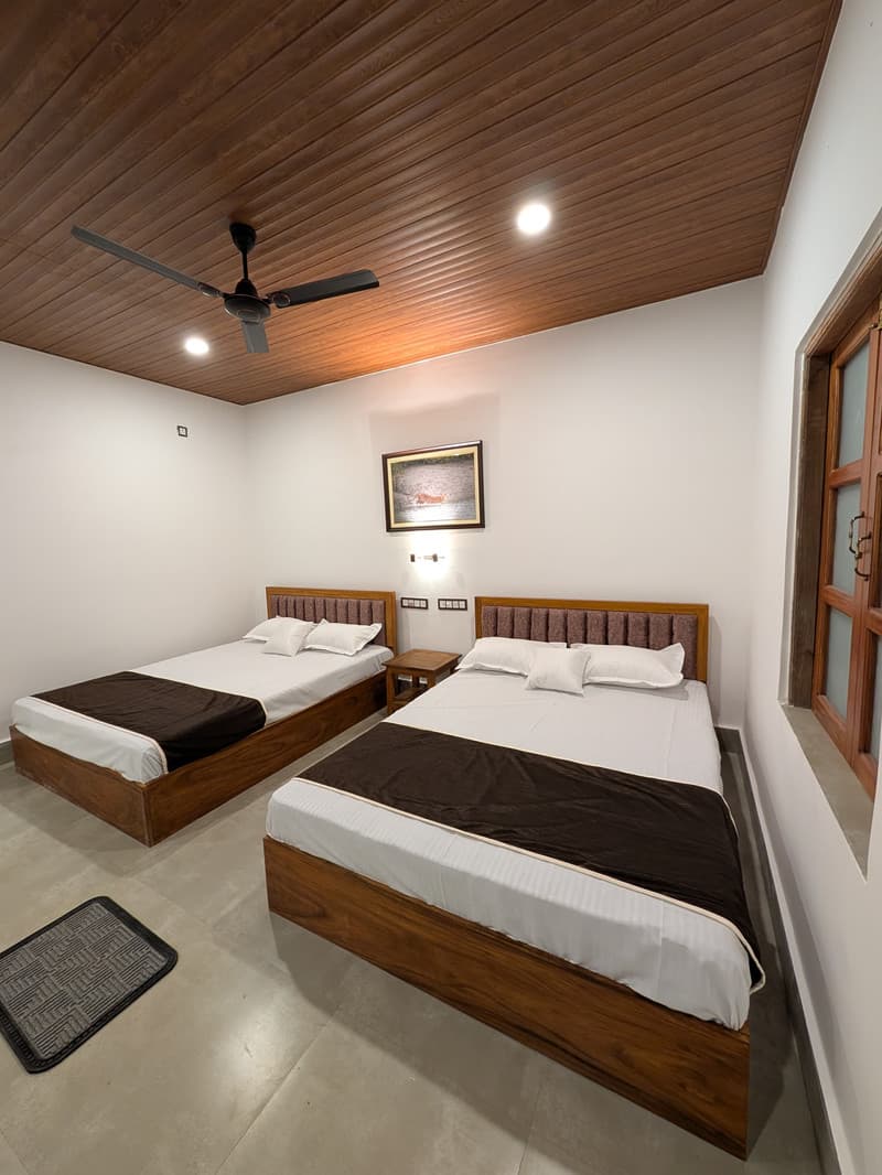 Guided evening experience at Mangrove Forest Camp