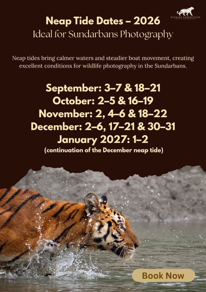 Neap tide dates 2026 for Sundarban wildlife photography tours — ideal windows from September to January