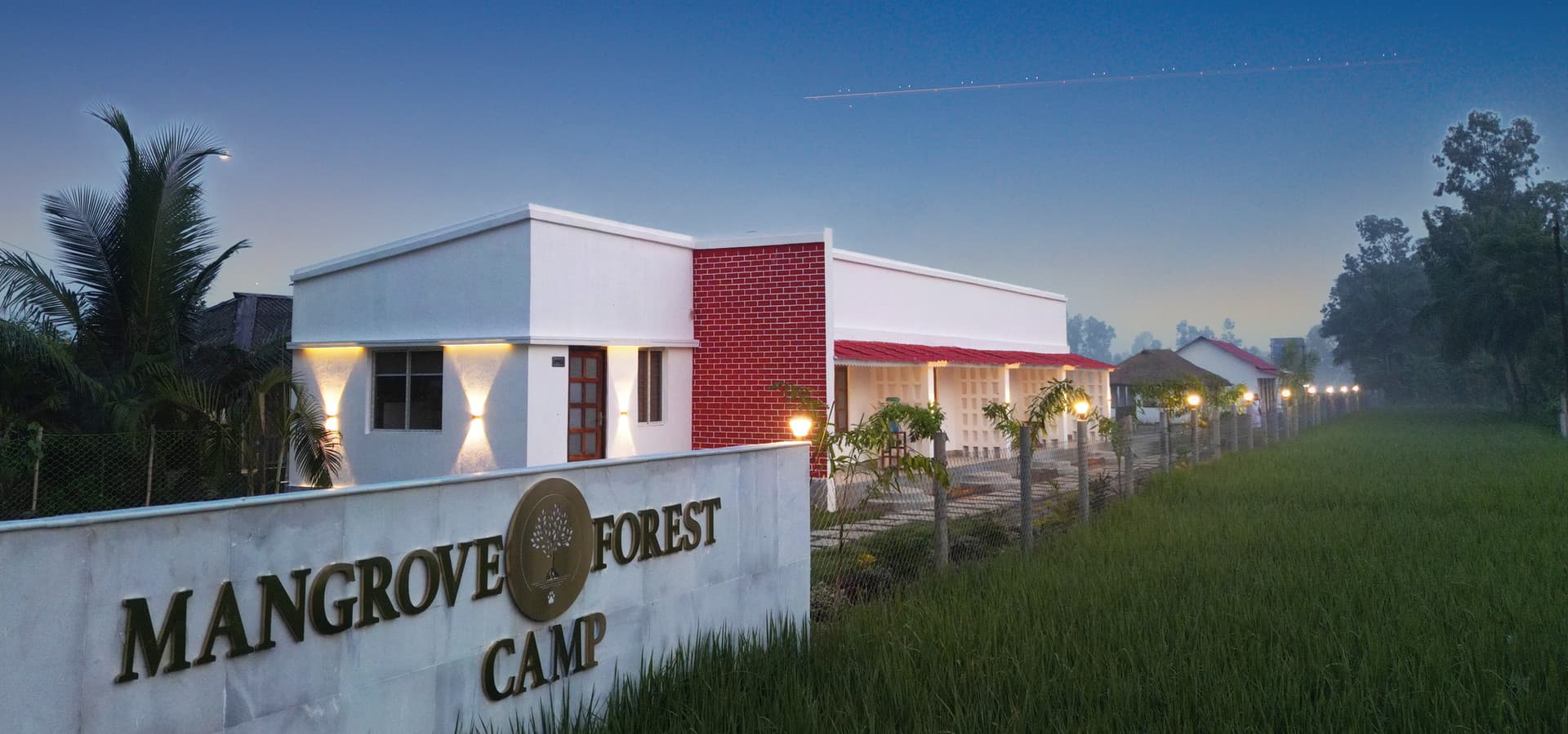 Lush green surroundings at Mangrove Forest Camp